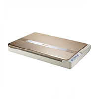 Avision FB5000 A3 Size Slim Flatbed Scanner
